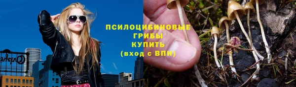 ГАЛЛЮЦИНОГЕННЫЕ ГРИБЫ Аркадак