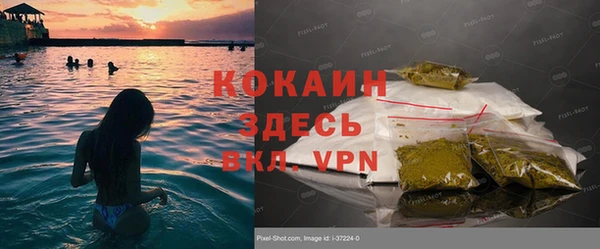 ГАЛЛЮЦИНОГЕННЫЕ ГРИБЫ Аркадак