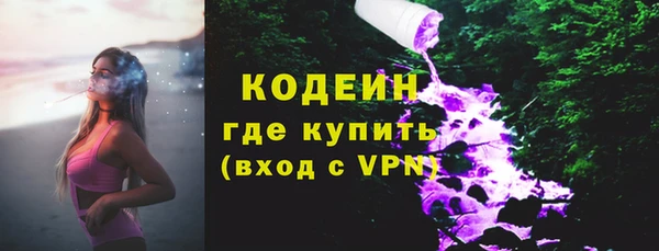 ГАЛЛЮЦИНОГЕННЫЕ ГРИБЫ Аркадак