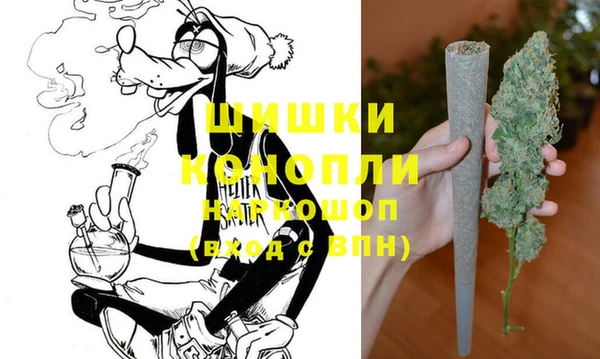 ГАЛЛЮЦИНОГЕННЫЕ ГРИБЫ Аркадак