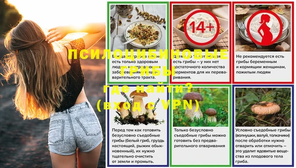 ГАЛЛЮЦИНОГЕННЫЕ ГРИБЫ Аркадак